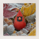 Buscar hojas del rojo puzzles General y unisex