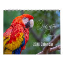 Buscar del loro calendarios General y unisex