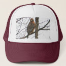 Buscar halcón gorras Animales