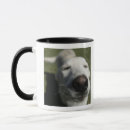 Buscar sant tazas Perro