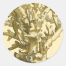 Buscar algas marinas pegatinas Kelp