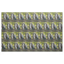 Buscar cabras telas Granja