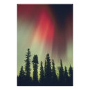 Buscar árbol amarillo posters Patrón