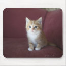 Buscar sofá alfombrillas de raton 10 º vástago