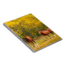 Buscar caballos cuadernos General y unisex