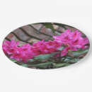 Buscar azalea papel platos Jardín