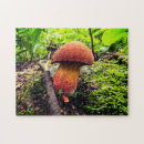 Buscar musgo puzzles Setas