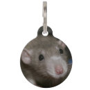 Buscar rata collares Para mascotas