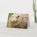 Buscar mareado tarjetas General y unisex