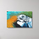 Buscar pájaro azul lienzos Perfil