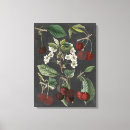 Buscar variedades lienzos Botánico