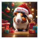 Buscar ayudante fotografía Navidad