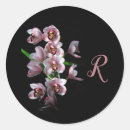 Buscar orquídea negra pegatinas Flor
