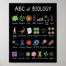 Buscar alfabeto inglés posters Jardín de infancia