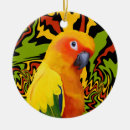 Buscar parrot adornos Colorido