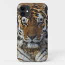 Buscar cautive fundas Animal