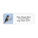 Buscar bluebirds postales Bluebird del este