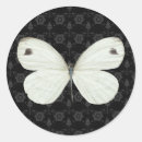 Buscar mariposas negras pegatinas Invitados