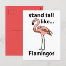 Buscar flamingos postales Para ella