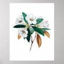 Buscar rododendro posters Ilustracion