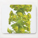 Buscar recorte alfombrillas de raton Opinión del primer