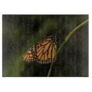 Buscar mariposa monarca tablas cortar Danaus plexippus