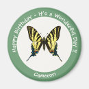 Buscar mariposas imanes Vintage