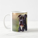 Buscar pit bull tazas Animal