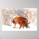 Buscar nieve posters Cachorro