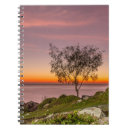 Buscar el brasil cuadernos Al aire libre