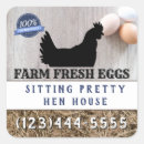 Buscar huevos etiquetas General y unisex