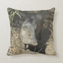 Buscar sonora cojines Desierto