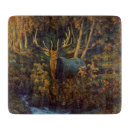 Buscar toro tablas cortar Vida silvestre