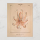 Buscar vintage octopus postales Playa