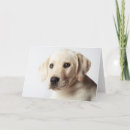 Buscar closet tarjetas Cachorro