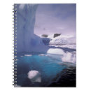 Buscar antártico cuadernos Campo de hielo