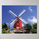 Buscar aruba posters Tropical