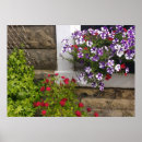 Buscar ventanas posters Rústico