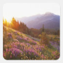 Buscar pureza etiquetas Belleza