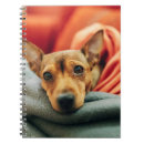 Buscar miniatura libretas Cachorro