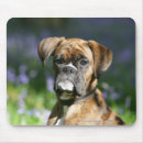 Buscar brindle alfombrillas de raton Fotógrafo canino