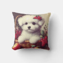 Buscar bichon cojines Lindo