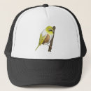 Buscar aves gorras General y unisex