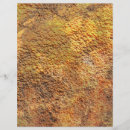 Buscar textura album accesorios Rústico