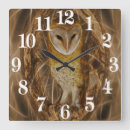 Buscar owl relojes de pared Bird