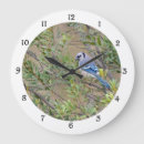 Buscar aletas relojes de pared Naturaleza