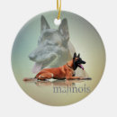 Buscar malinois belgas adornos Pastor belga