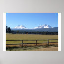 Buscar picos posters Nieve