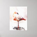 Buscar flamencos rosados lienzos Para todos