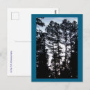 Buscar talla postales General y unisex